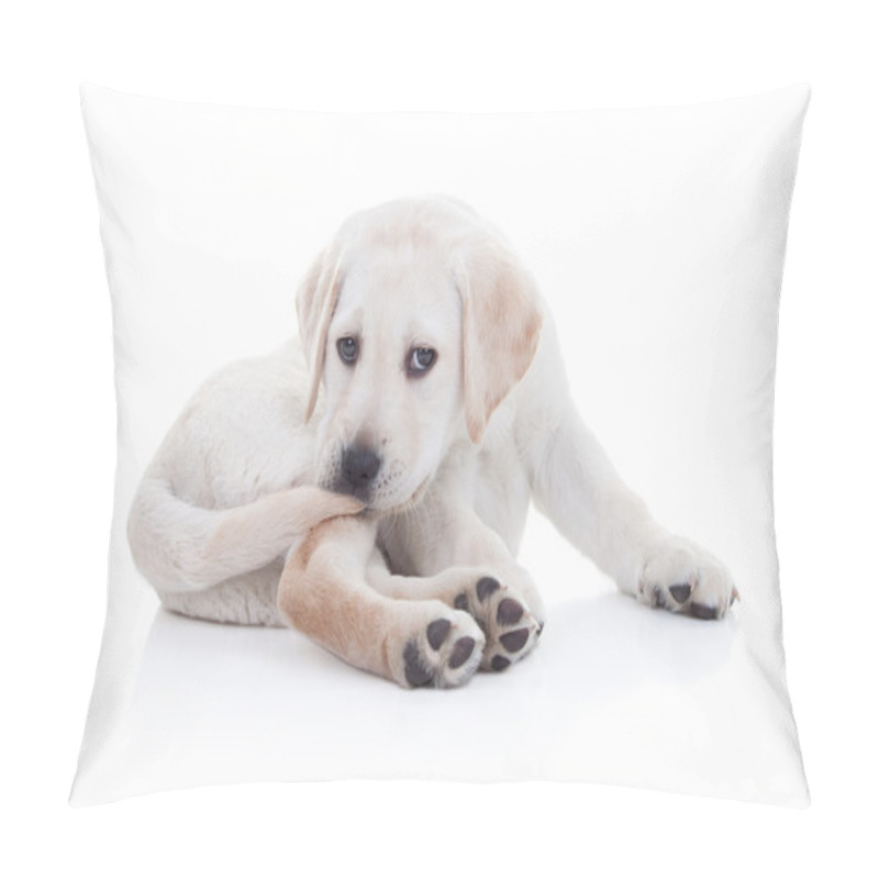 Personality  Funny Dog Tail Pillow Covers