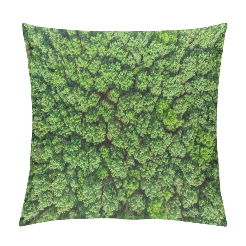 Personality  Aerial View Green Tree Tropical Rainforest Nature Landscape Pillow Covers