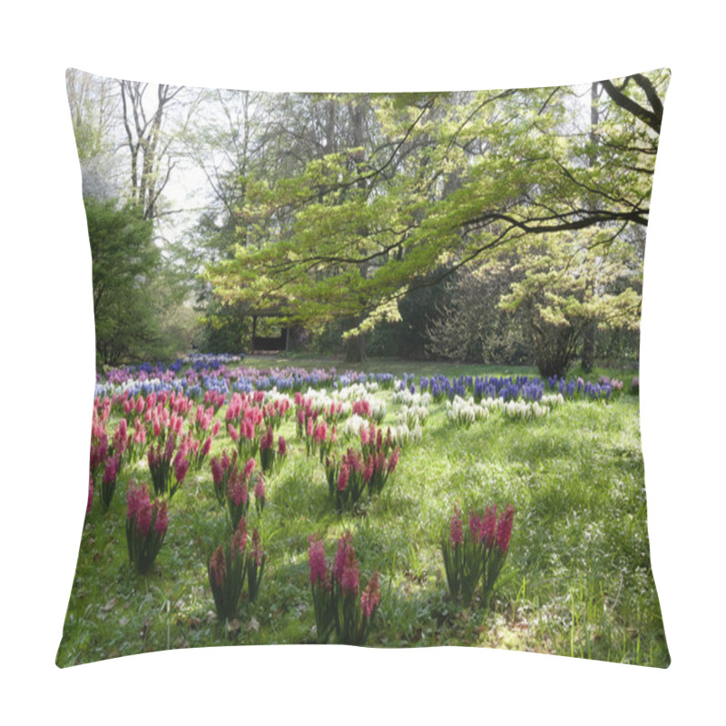 Personality  A Meadow Full Of White, Blue, Pink And Red Hyacinths In The Botanical Garden Under A Maple Tree. Pillow Covers