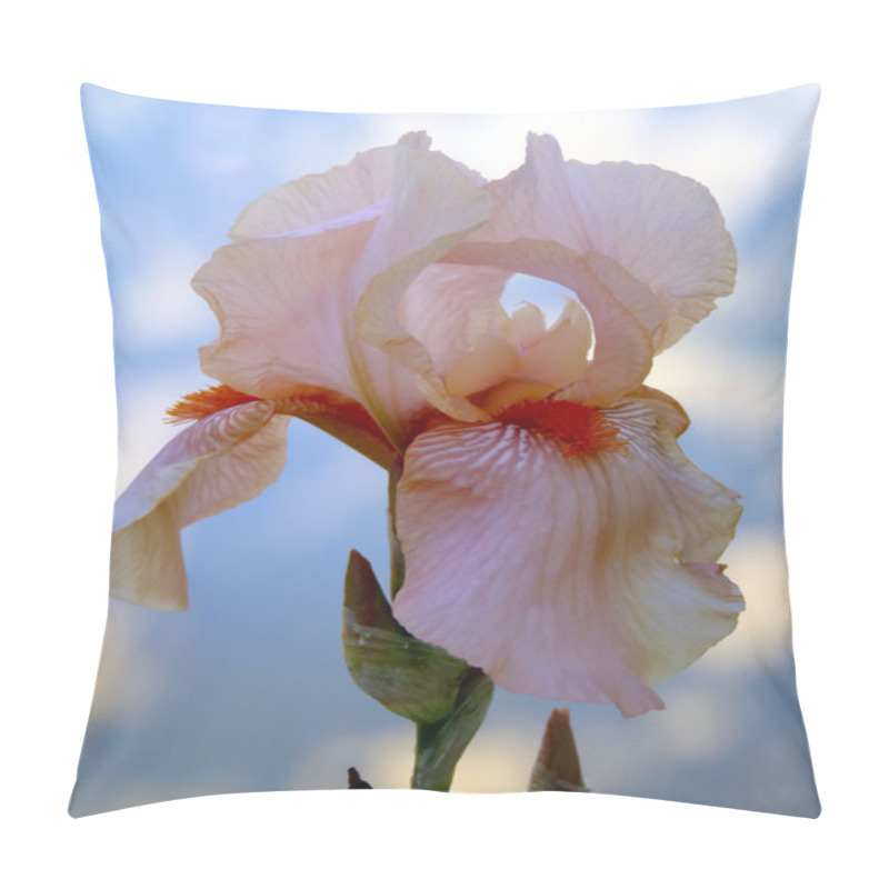 Personality  Peach Bearded Iris On A Light Background Close Up. Pillow Covers