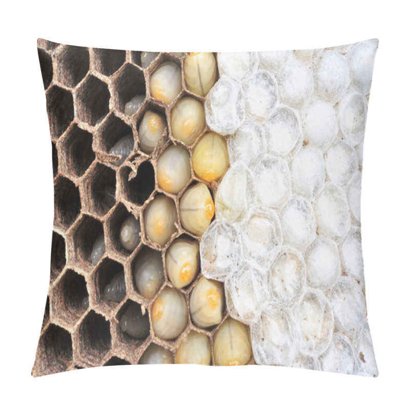 Personality  Wasps Nest  Pillow Covers