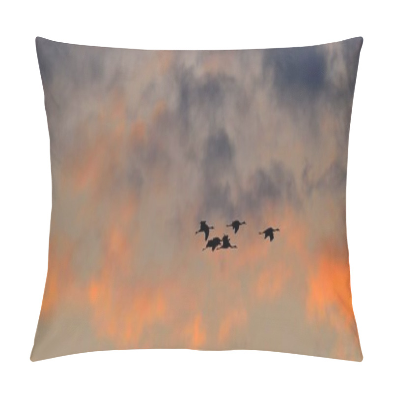 Personality  Birds In Flight. A Silhouettes Of Cranes In Flight. Flock Of Cranes Flies At Sunrise. Foggy Morning, Sunrise Sky  Background. Common Crane, Grus Grus Or Grus Communis, Big Bird In The Natural Habitat.  Pillow Covers