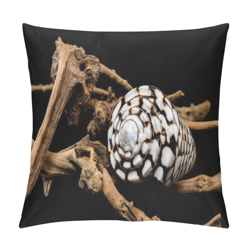 Personality  A Detailed Close-up Of A Conus Marmoreus Shell, Known For Its Marbled Black-and-white Pattern, Elegantly Perched On Driftwood Against A Black Background. Perfect For Marine And Nature Themes Pillow Covers