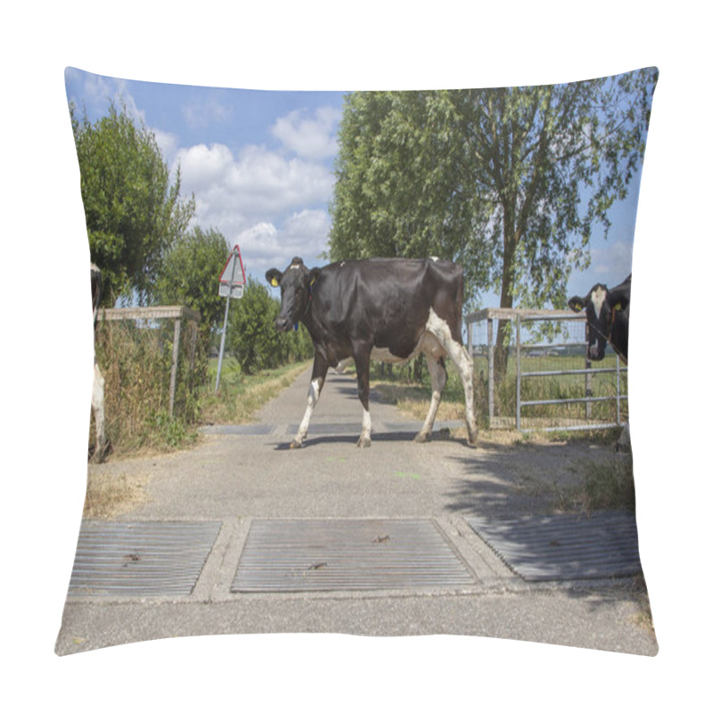 Personality  Cows In A Row Passing Cattle Grids With Trees And Clouds. Pillow Covers