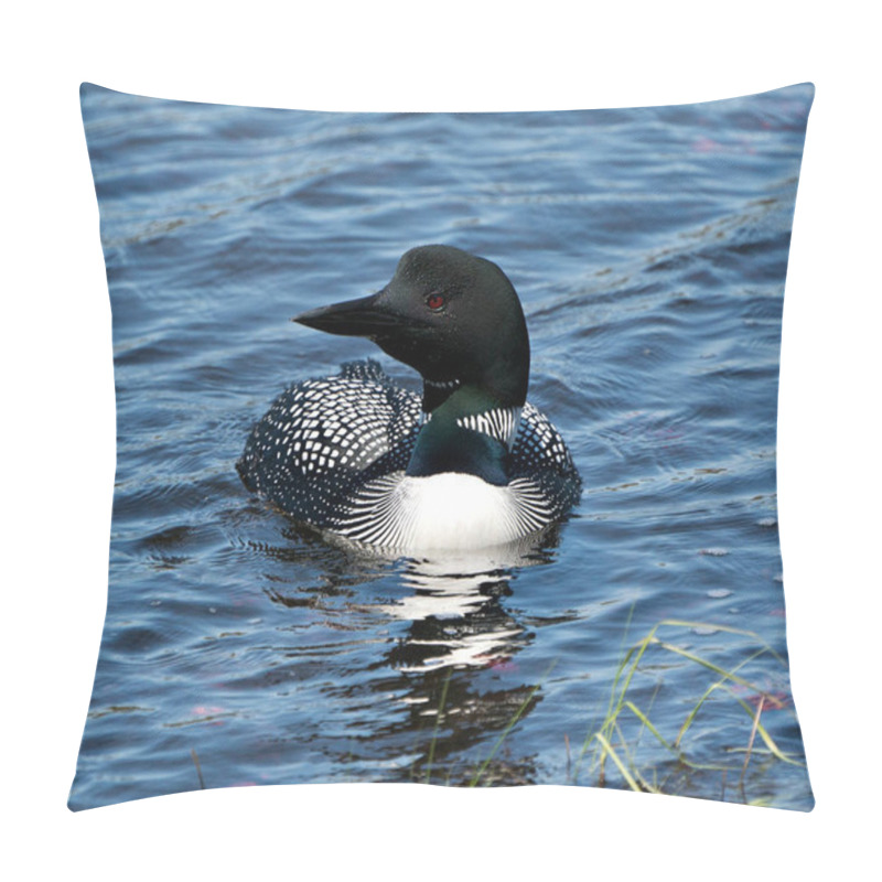 Personality  Loon Close-up Profile Front View Swimming In The Lake In Its Environment And Habitat, Displaying Red Eye, White And Black Feather Plumage, Greenish Neck. Loon In Wetland Image. Loon On Lake. Loon Photo Stock.  Pillow Covers