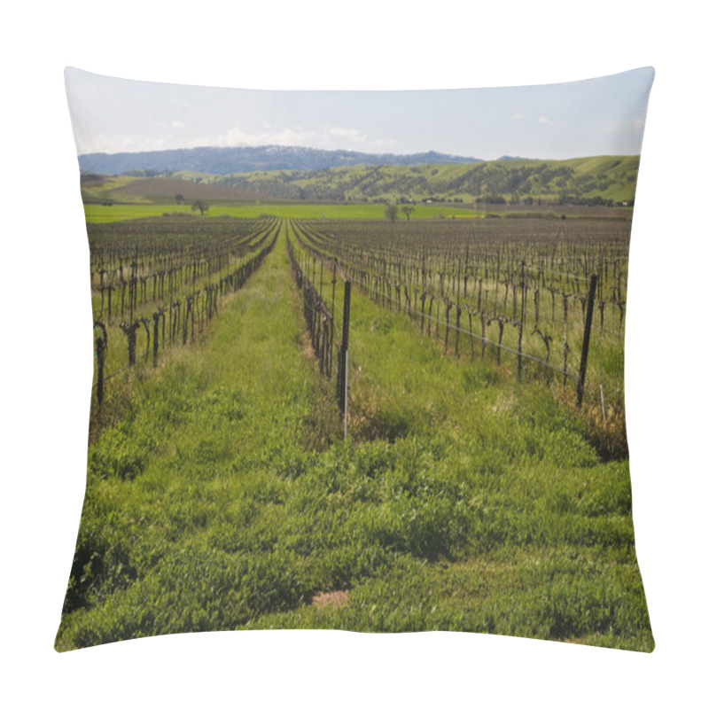 Personality  Vineyard Pillow Covers