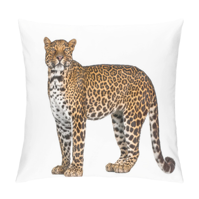 Personality  Portrait Of Leopard, Panthera Pardus, Standing Against White Background, Studio Shot, Remasterized Pillow Covers