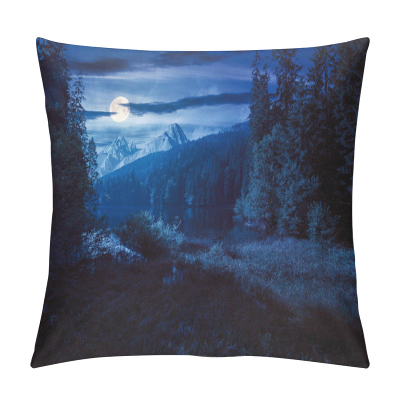 Personality  Wild Lake Among The Coniferous Forest At Night. Beautiful Nature Landscape In Carpathian Mountains. Summer Weather With Dark Sky In Full Moon Light. Mysterious Place Pillow Covers