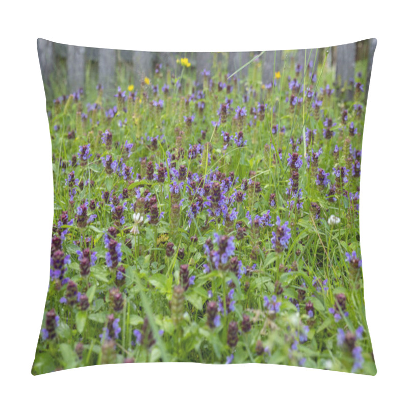 Personality  Summer Meadow Covered With Common Self-heal Flowers (Prunella Vulgaris) Pillow Covers