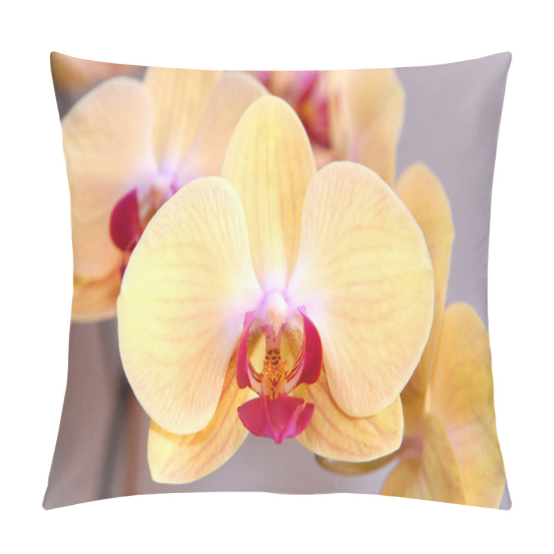 Personality  Orchid Pillow Covers