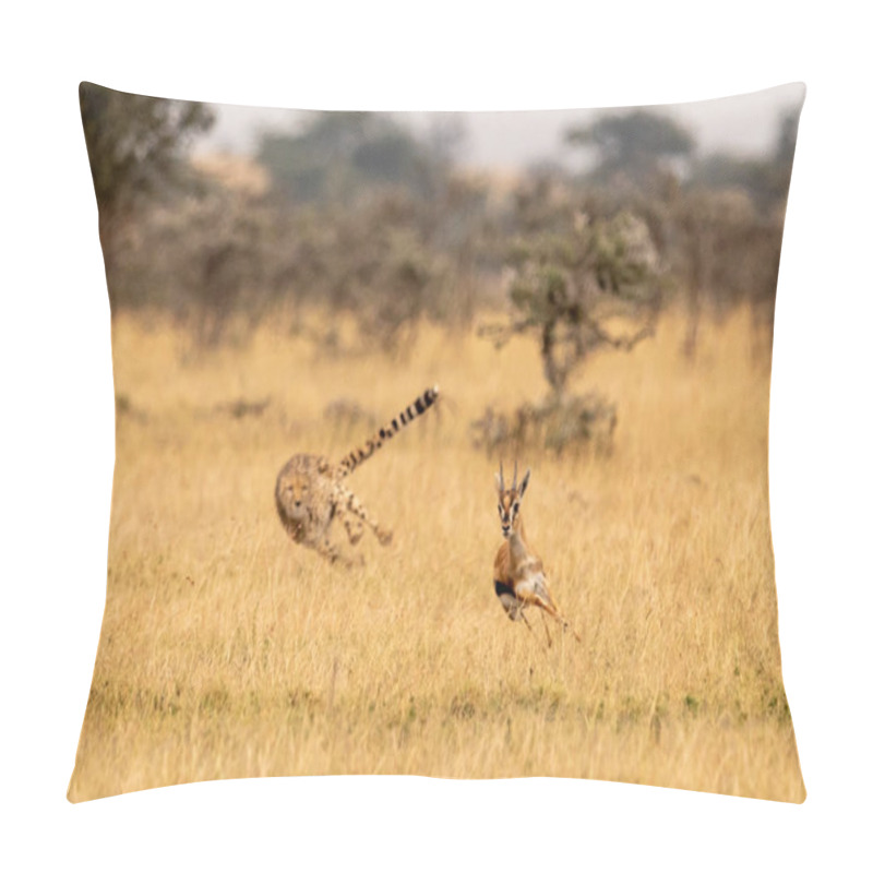 Personality  Cheetah Chasing Thomson Gazelle Among Whistling Thorns Pillow Covers