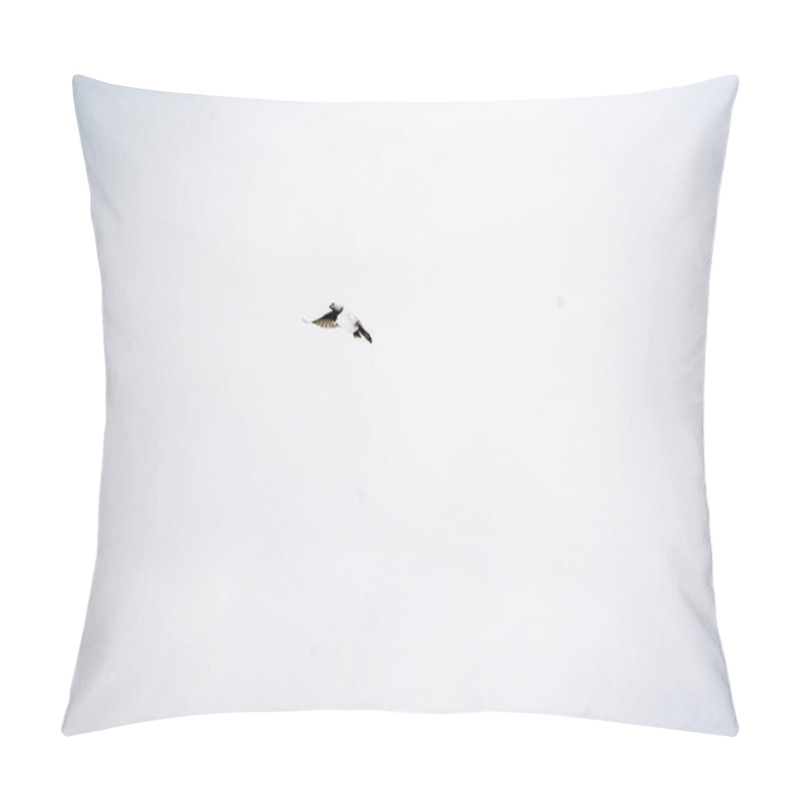 Personality  White Background , Pigeon Flying In The Sky, Flying Birds, Easily Separatable Subject, Can Be Used In Different Pictures Pillow Covers