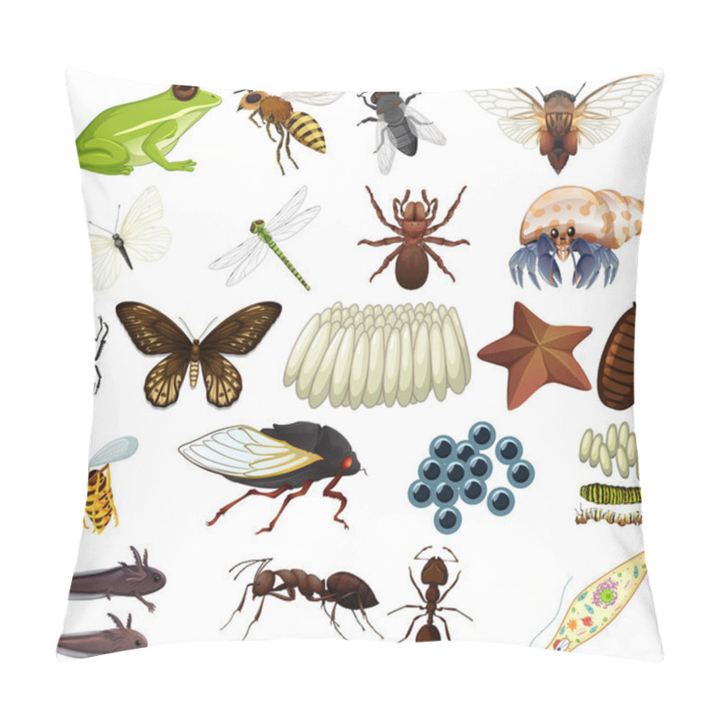 Personality  Different Kinds Of Insects And Animals On White Background Illustration Pillow Covers