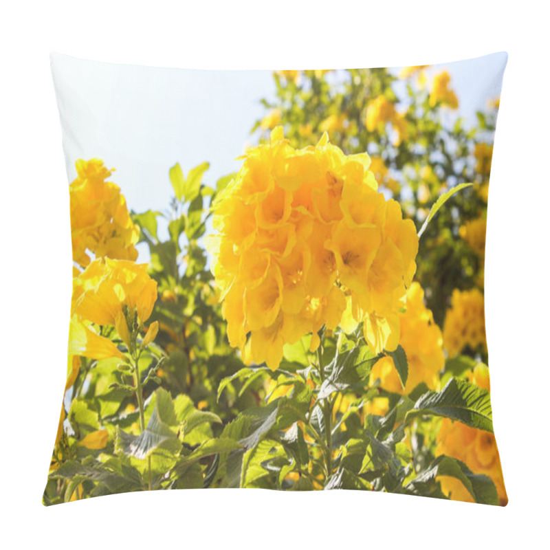 Personality  A Tree With Beautiful Yellow Flowers Blooms In Israel In Autumn Pillow Covers