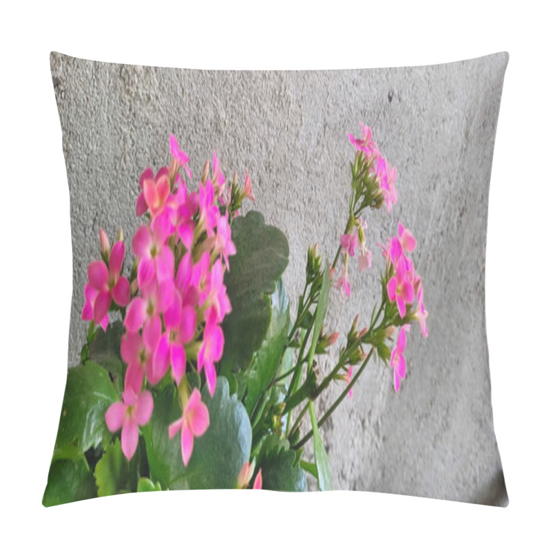 Personality  Pink Flowers With Rustic Wall Background Pillow Covers