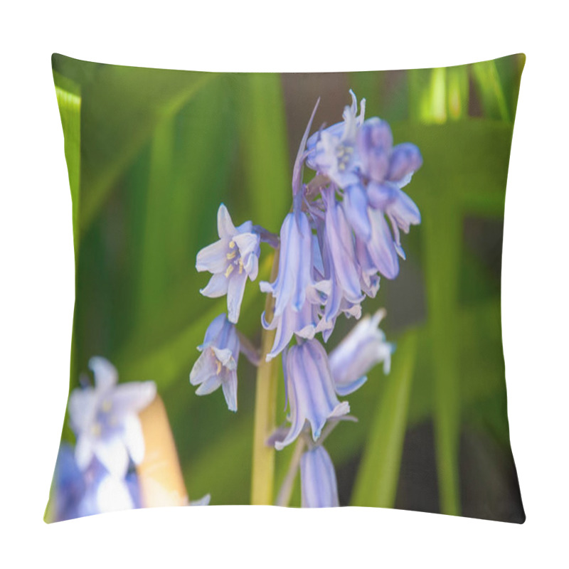 Personality  Close Up Of Spanish Bluebells (Hyacinthoides Hispanica) Pillow Covers