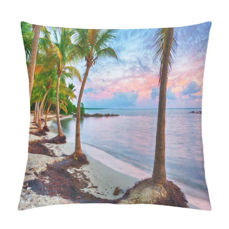 Personality  Anse Chamapgne Pillow Covers