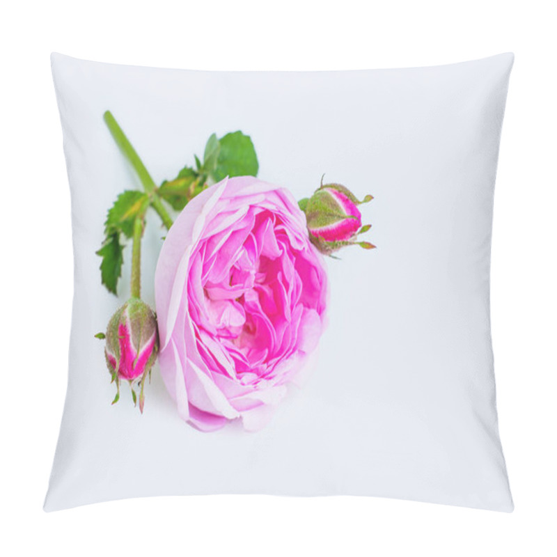 Personality  Close-up Of A Delicate Blooming Rose Isolated On White Background. Pillow Covers