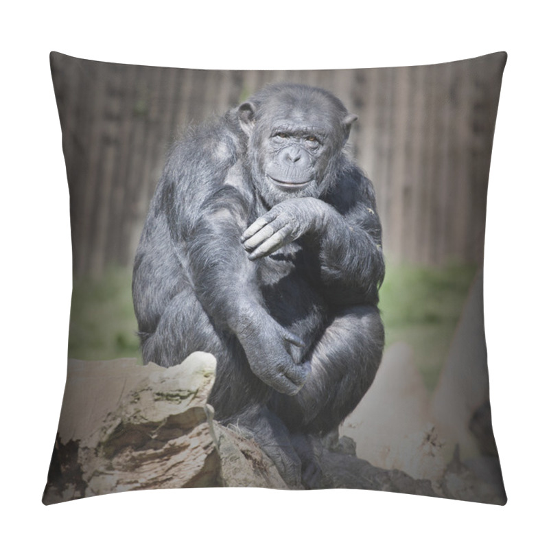 Personality  The Chimpanzee Thinking Pillow Covers