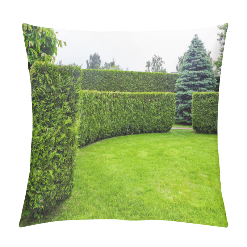 Personality  Crescent Of Thuja Hedge In A Garden With A Meadow Of Green Turf Lawn Spring Backyard Landscape With Copy Space On The Park, Nobody. Pillow Covers