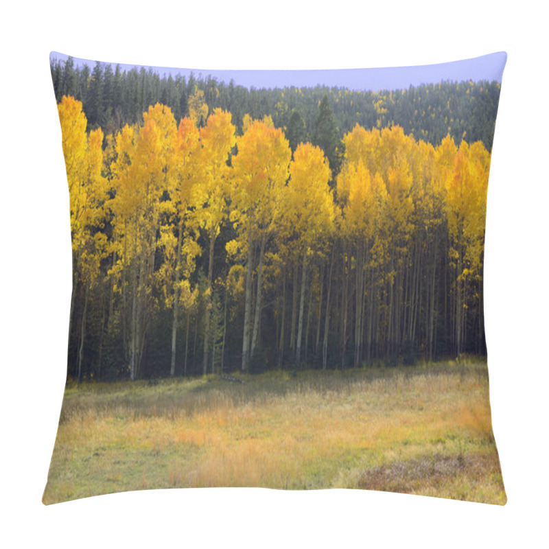 Personality  New Mexico Aspens Pillow Covers