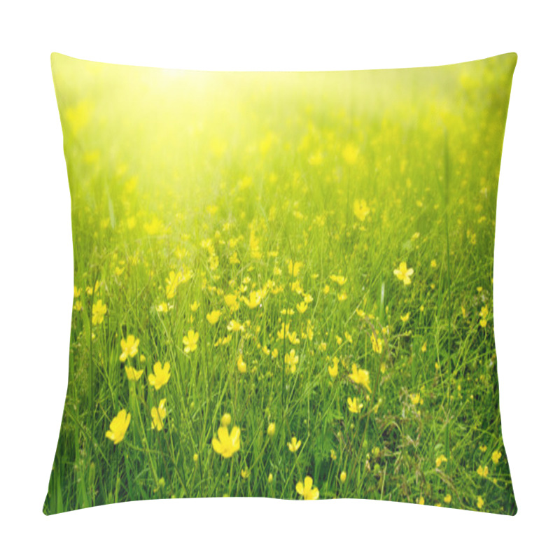 Personality  Field Of Spring Flowers And Sunlight Pillow Covers