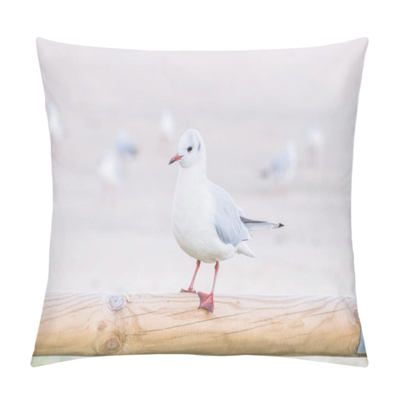 Personality  A Little Gull Hydrocoloeus Minutus Standing On A Wooden Post In A Park Setting, Showcasing Its Delicate Features Against A Natural Backdrop. Pillow Covers