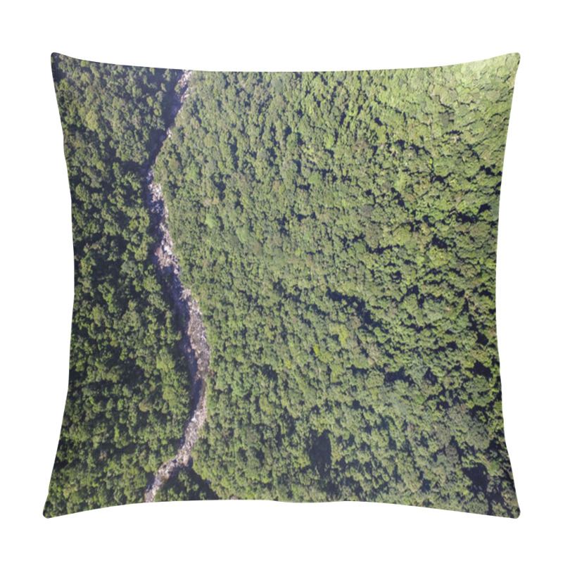 Personality  Pathway In A Rainforest, Brazil Pillow Covers