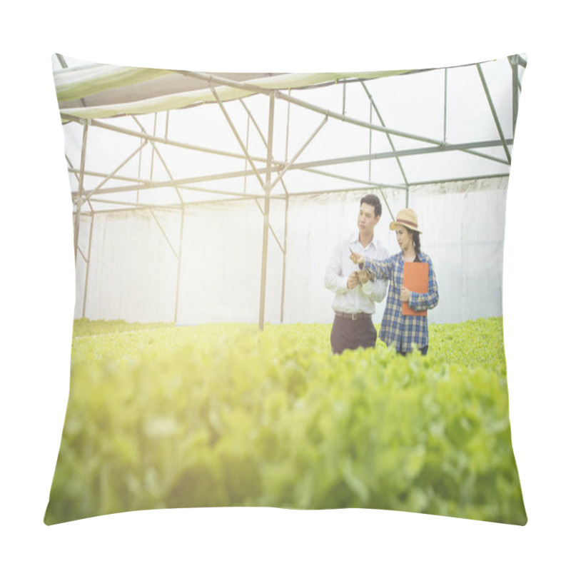 Personality  Asian Woman Farmer Hold Document Files Point Pen To Green Lettuc Pillow Covers