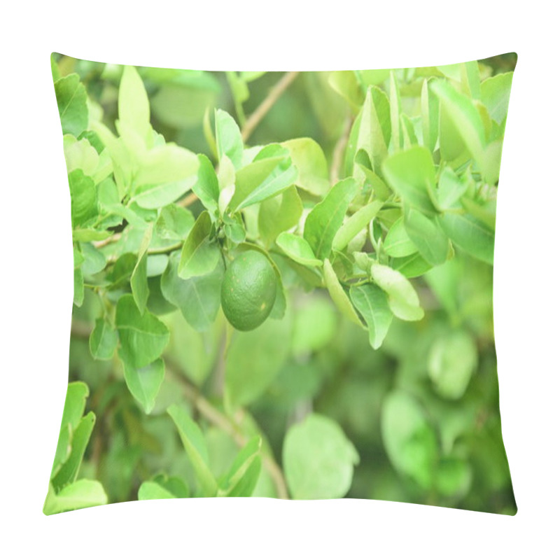 Personality  Lemon On The Tree And Green Leaves. Pillow Covers