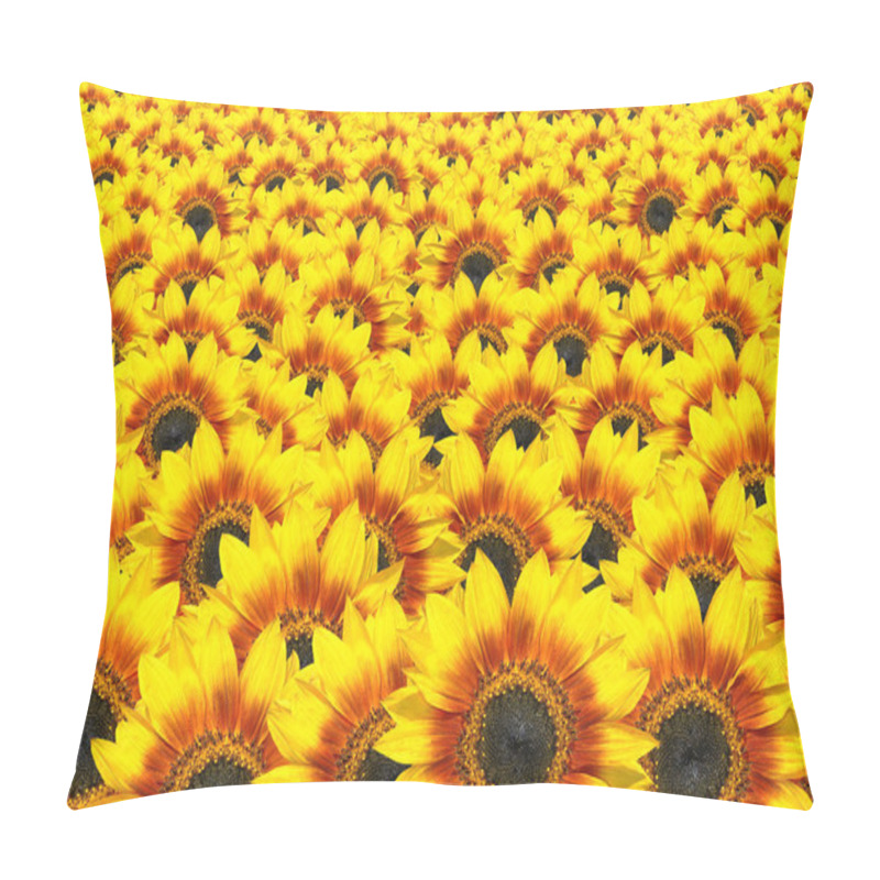 Personality  Lots Of Fresh Sunflowers - Sun Flower Background Pillow Covers