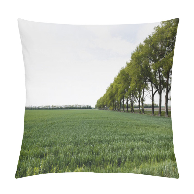 Personality  Green Trees Near Field With Fresh Grass In Summertime  Pillow Covers