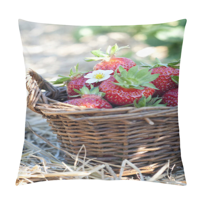 Personality  Strawberries In The Basket On The Field Pillow Covers