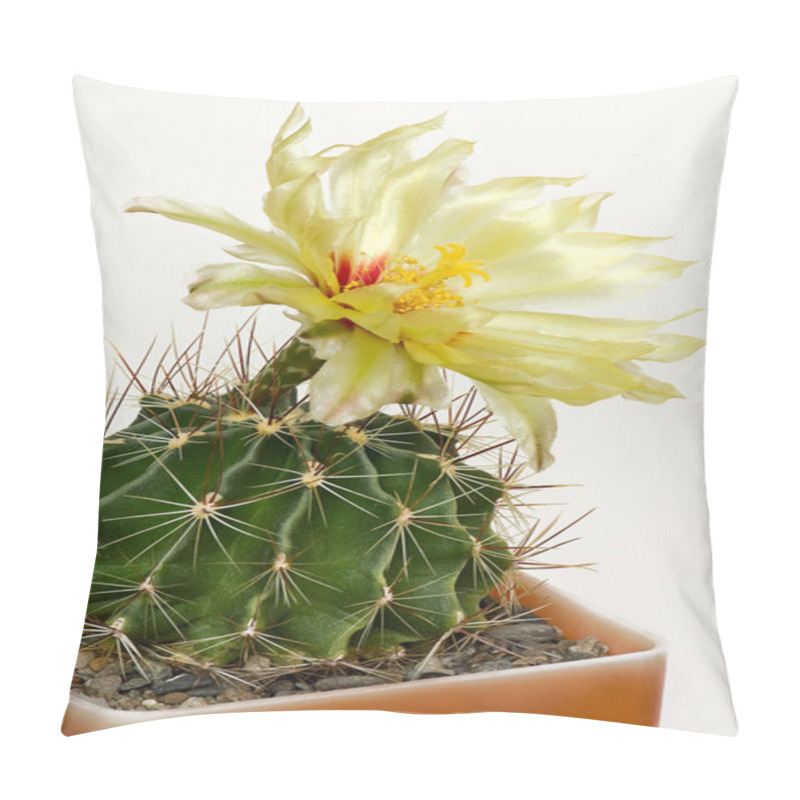 Personality  Blooming Cactus Pillow Covers