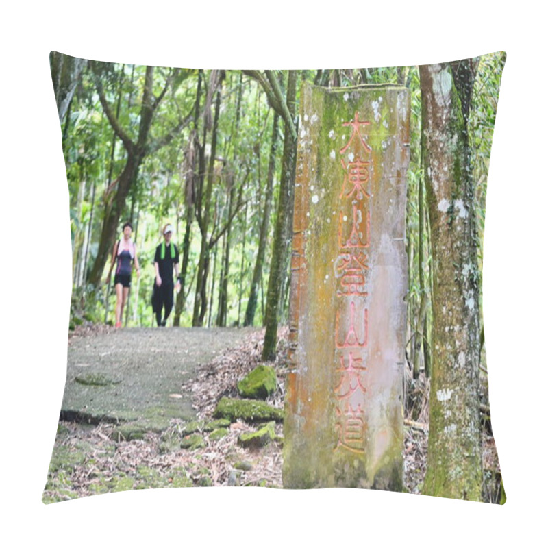 Personality  Taiwan - Jul 08,  2024: Explore Dadongshan Trail In Chiayi, Known For Its Lush Forests, Diverse Plant Life, And Stunning Views Of Alishan And Yushan. Pillow Covers