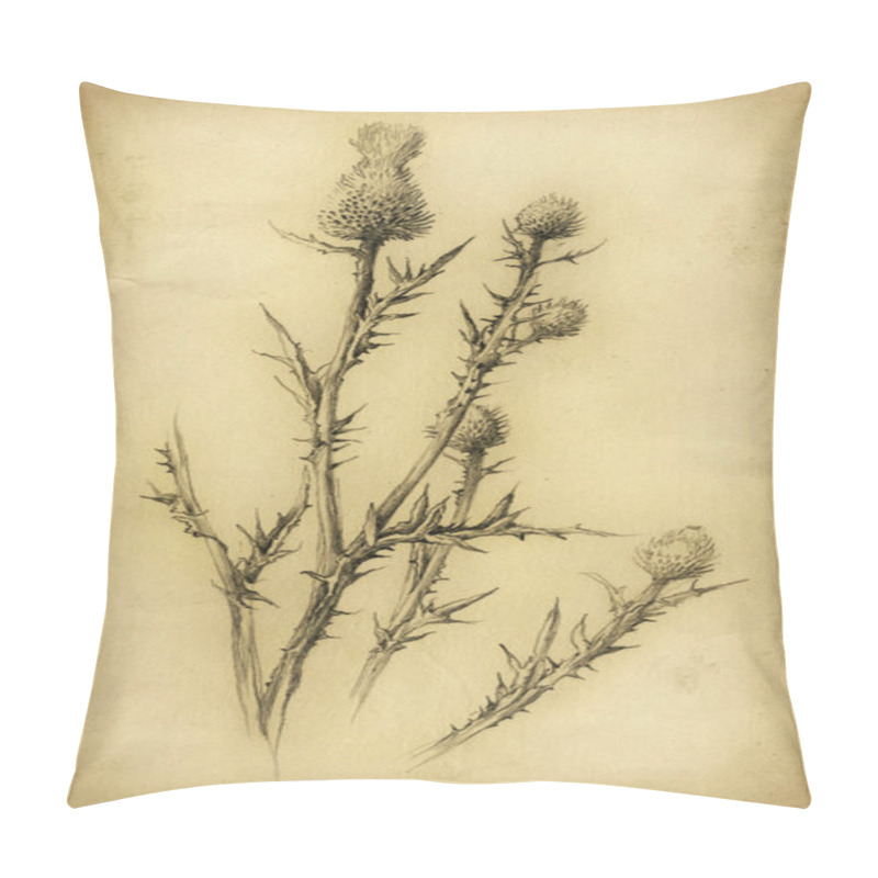 Personality  Handmade Drawing Of A Thistle Plant, Pencil On Paper, Slightly Edited. Pillow Covers