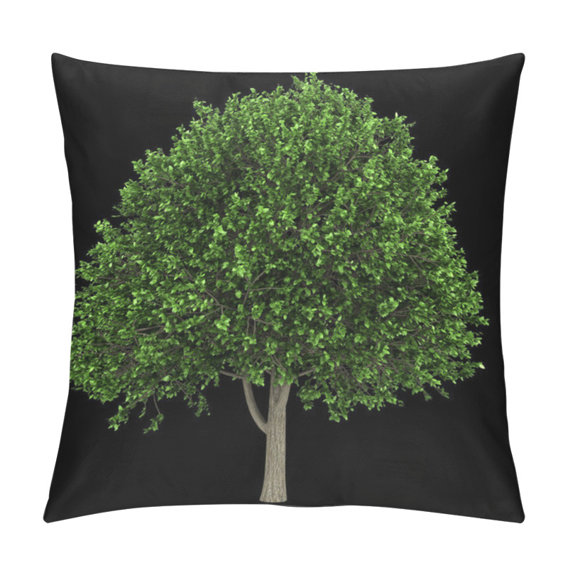 Personality  American Elm Tree Isolated On Black Background Pillow Covers