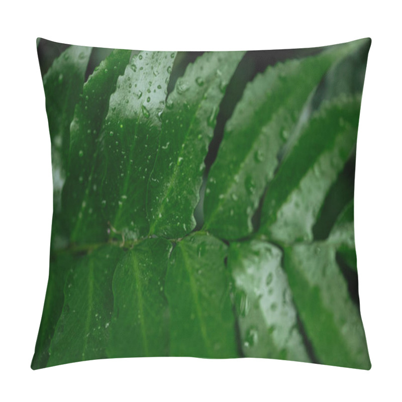 Personality  Close Up View Of Wet Green Tropical Palm Leaf With Water Drops Pillow Covers