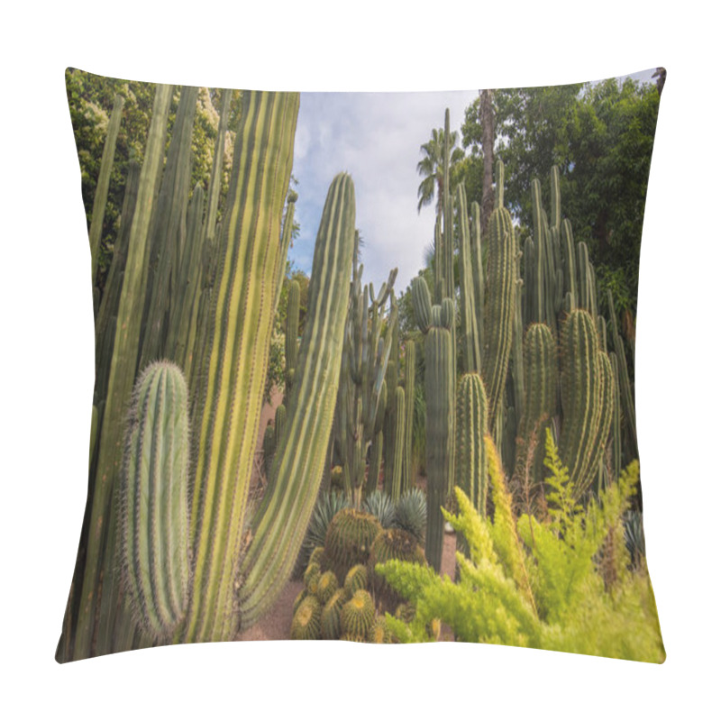 Personality  The Majorelle Garden Is A Botanical Garden And Artist's Landscape Garden In Marrakech, Morocco. Jardin Majorelle Cactus And Tropical Palms. Paradise Inside The Desert Country Pillow Covers