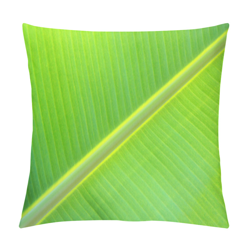 Personality  Banana Leaf Texture  Pillow Covers