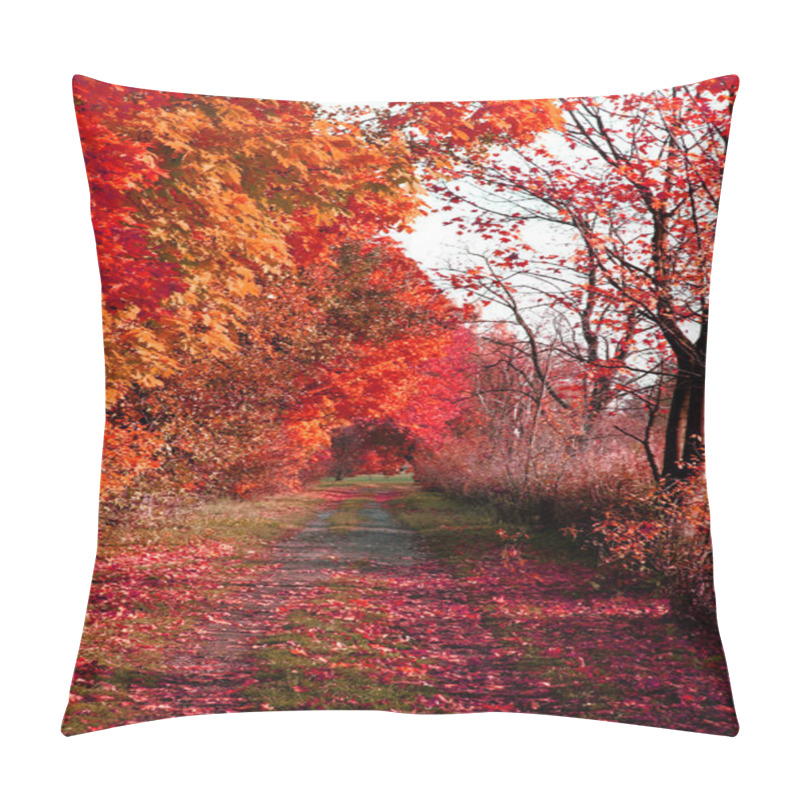 Personality  Way In The Park  Pillow Covers