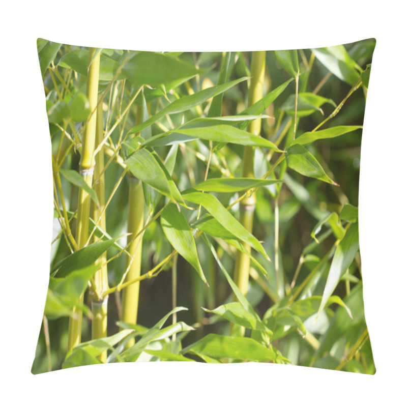 Personality  Bamboo Pillow Covers