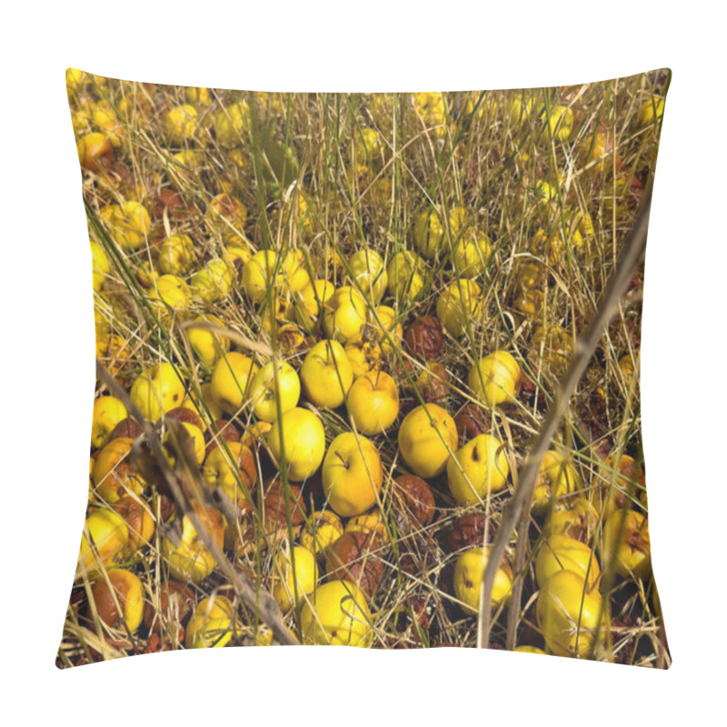 Personality  Unharvested Yellow Apples Lie On The Ground Among Dry Grass, Some Of Which Have Started To Rot. The Spoiled Crop Creates A Scene Of Missed Opportunities In The Autumn Harvest Pillow Covers