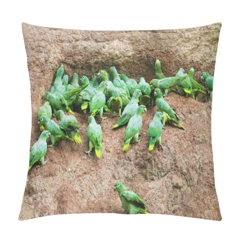 Personality  Mealy Parrots Eating Clay Pillow Covers