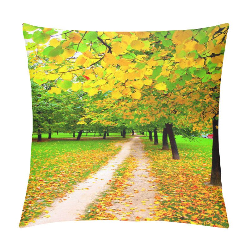 Personality  Beautiful Alley In Autumn Park Pillow Covers