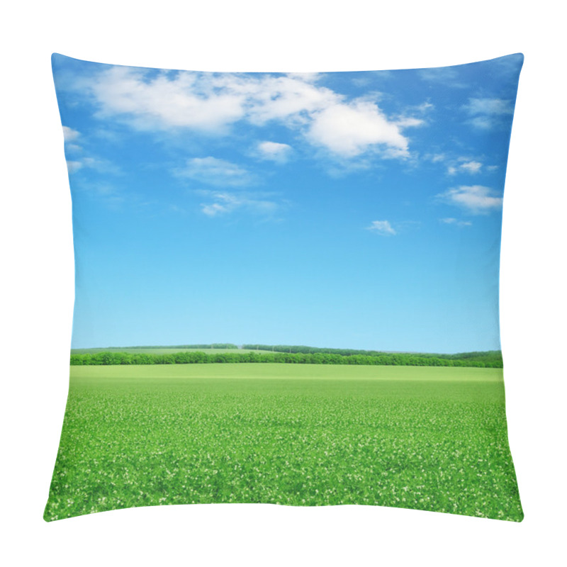 Personality  Green Field And Blue Sky Pillow Covers