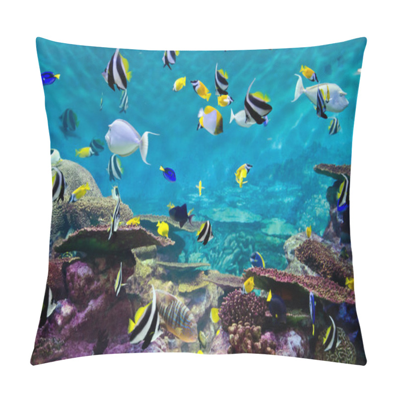 Personality  Fishes And Coral, Underwater Life Pillow Covers