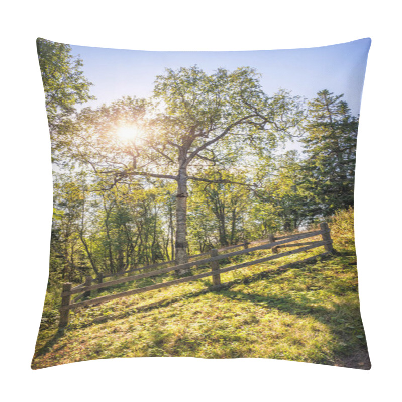 Personality  A Birch In The Shape Of A Cross In The Calvary-Crucifixion Monastery On The Mountain On Anzer Island (Solovetsky Islands) Under A Blue Sky In The Rays Of The Autumn Sun Pillow Covers