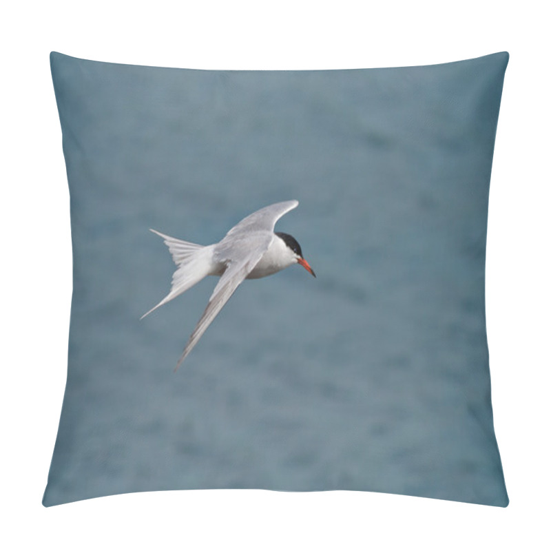 Personality  Arctic Tern Pillow Covers