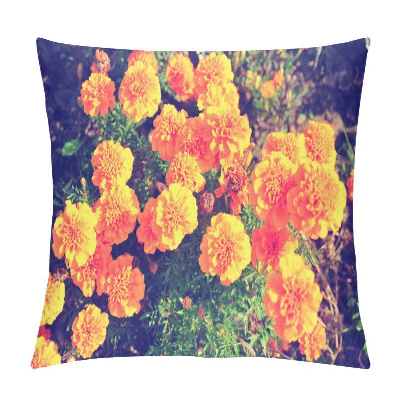 Personality  Marigold Bright Flowers Ith Green Leaves In The Garden. Flowers Close Up, Growing, Top View. Bright Marigold Flowers From Above. Flora Design, Flower Background, Garden Flowers. Flowers No People. Pillow Covers